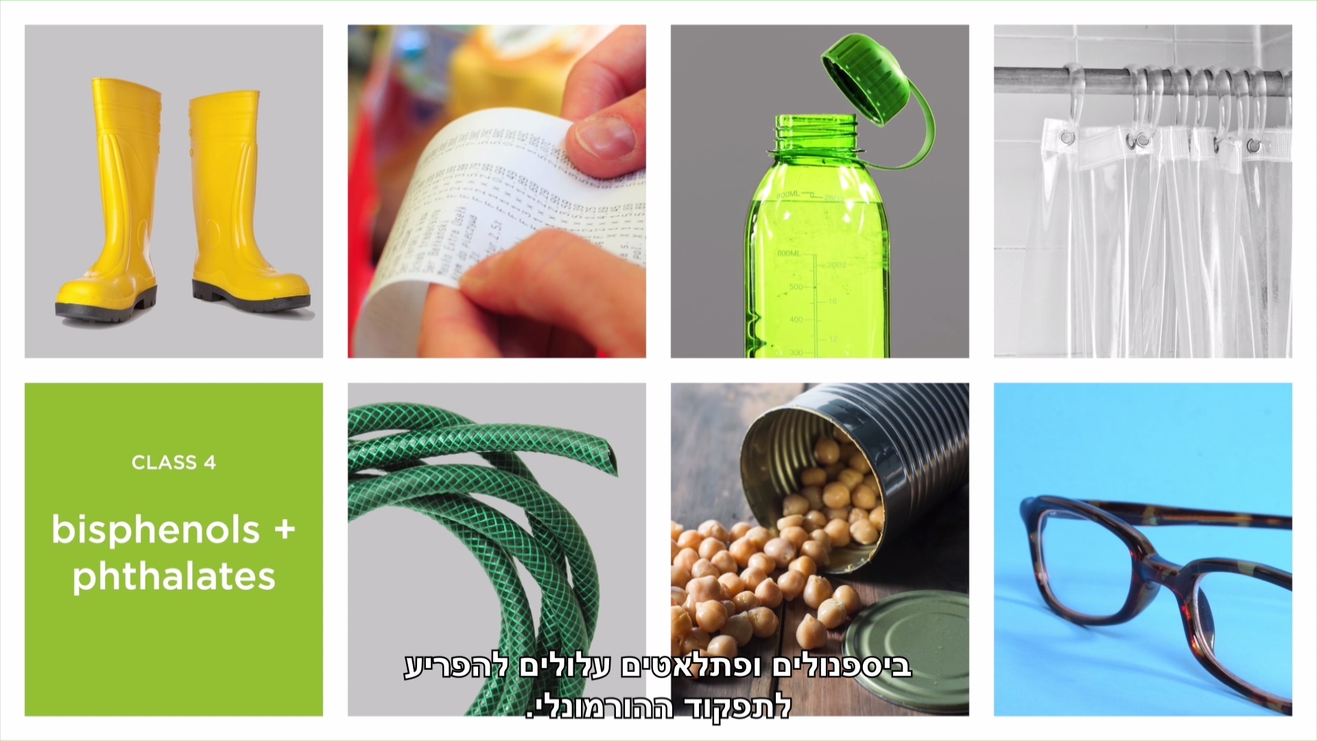 שש קבוצות כימיקלים מסוכנים: ביספנולים ופתלאטים
