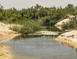 מחקר שיוצג בכנס השנתי שלנו השבוע: השיטפונות הראשונים מזרימים לנחלים חומרי הדברה ותרופות